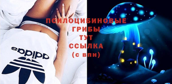 индика Алексин