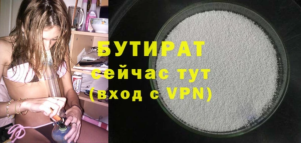 индика Алексин
